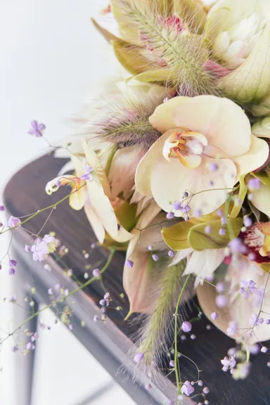 Dear Us. ブランドイメージ画像