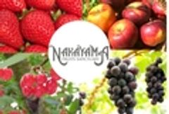 ナカヤマフルーツサンクチュアリ株式会社のロゴ