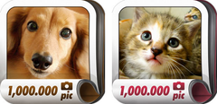 世界で一番たくさんの犬と猫の写真を見ることができる　
マッシュアップ・アプリ『100万枚の犬写真』『100万枚の猫写真』　
App Store164ヶ国、Google Play147ヶ国へ配信