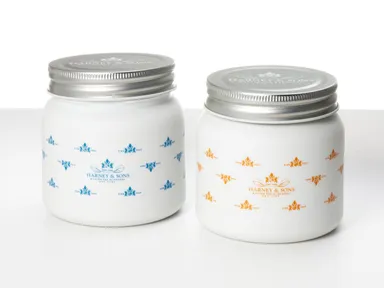 【HARNEY & SONS × ARITA PORCELAIN LAB】キャニスター (ブルー・オレンジ)￥2,871(税込)