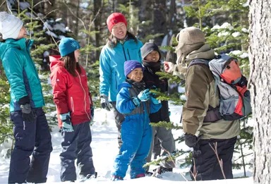 冬の森ガイドツアー