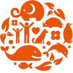 株式会社コニー