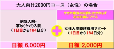 大人向け2000円コース(女性)の場合