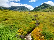 室堂平周辺の紅葉(9月上旬)