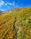 立山ロープウェイから見る紅葉(10月上旬)