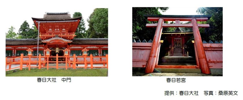 ~春日若宮御造替奉祝企画~
春日大社「春日若宮お砂持ち」行事参加ツアーを開催