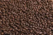 美しいブラジルコーヒー豆