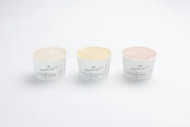 フィトテラピーアイス3種