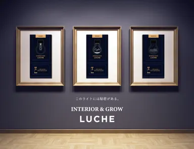 INTERIOR & GROW LUCHE