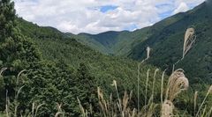 FSC(R)森林認証林