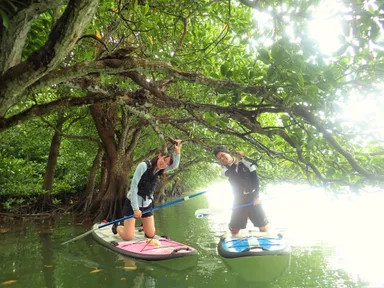 マングローブSUP　1