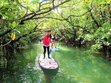 マングローブSUP　4