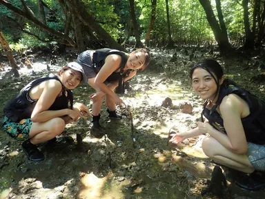 マングローブSUP　5