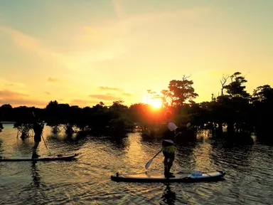 宮良川マングローブSUP