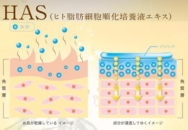 HAS(ヒト幹細胞エキス)