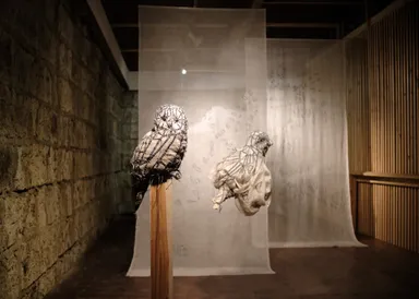 新・フクロウのふくろ