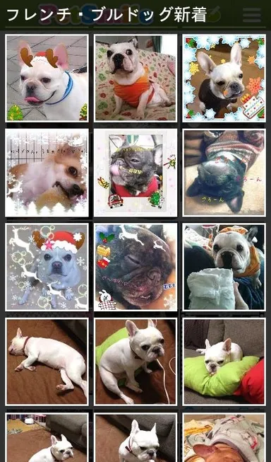 コミュニティ新着写真一覧