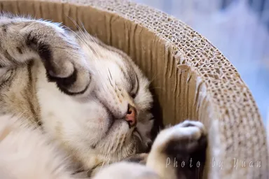 写真集イメージ2