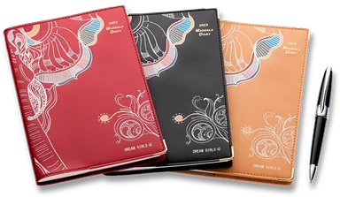 ドリームガールズ2023 B6サイズ