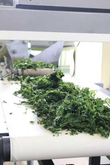 ばらのり製造　2