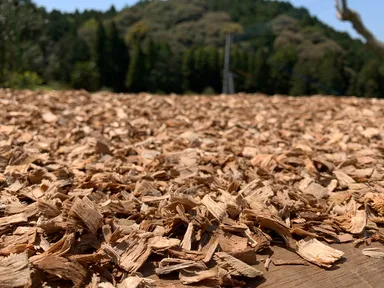 楠チップ　天日干し