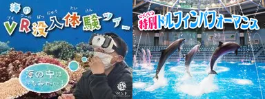 共通プログラム