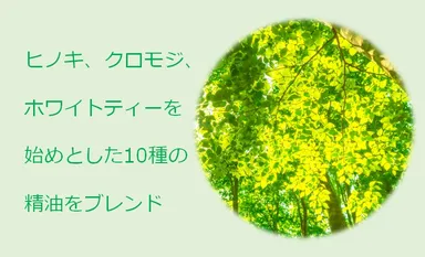 森林ブレンド