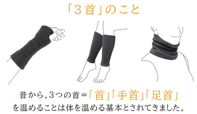 美人の温活習慣３首