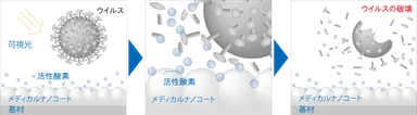 ウイルス不活化のメカニズム