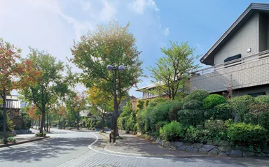 「5本の樹」計画に基づいて植栽が施された積水ハウスの分譲地の事例