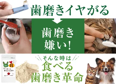 歯磨き嫌いでも大丈夫！『食べる歯磨き革命』
