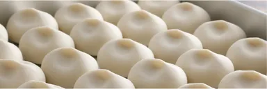 包みたてが一番おいしい『肉汁だし餃子』「生」