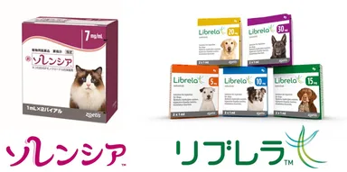 左：ソレンシア　右：リブレラ