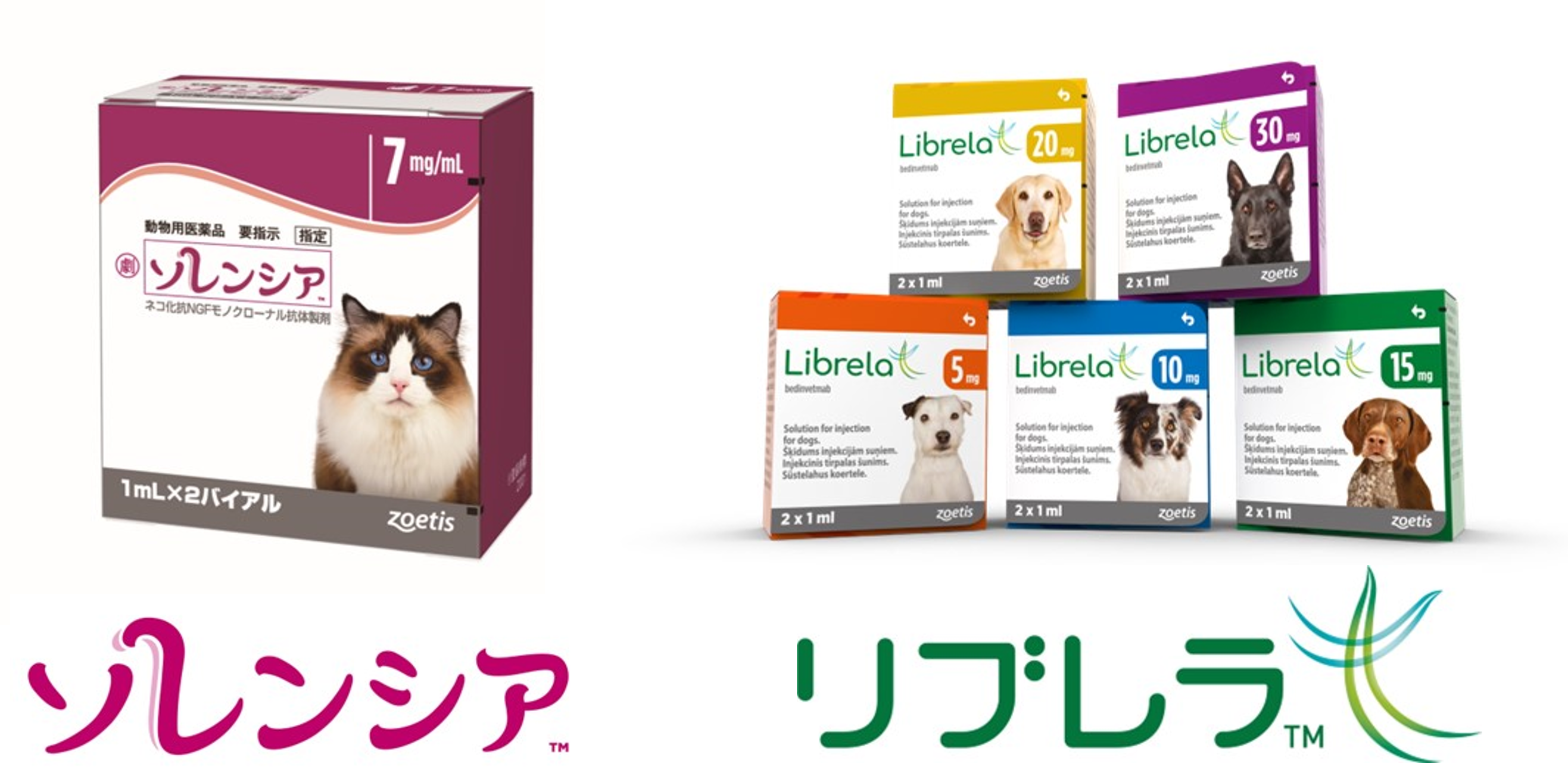 変形性関節症を予防できますか？