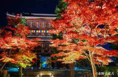 【夜】山門と紅葉