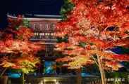 【夜】山門と紅葉