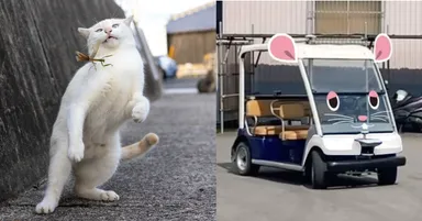 『DRIVE EXHIBITION』powered by YADOCAR-iドライブ