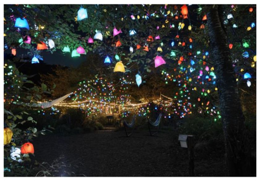 自然の中で楽しむ展覧会「六甲ミーツ・アート芸術散歩2022」
期間限定で夜間作品が鑑賞できる「ひかりの森～夜の芸術散歩～」
9月23日(金・祝)～土日祝日限定で開催！