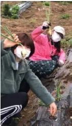 みら女農業部(4)