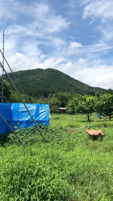 ムーミン谷農園