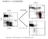 免疫細胞の培養法別FCM分類