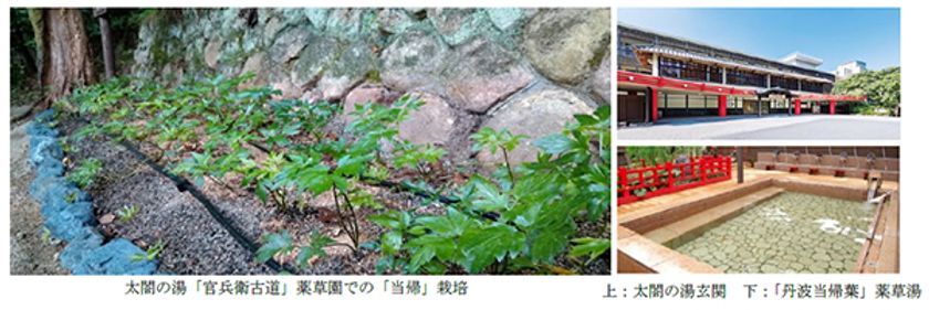 兵庫医科大学 × 有馬温泉 太閤の湯 
包括連携協定締結のお知らせ