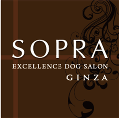 ソプラ銀座株式会社