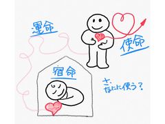 img_326485_5.jpg