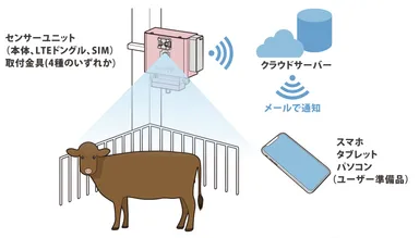 システムイメージ