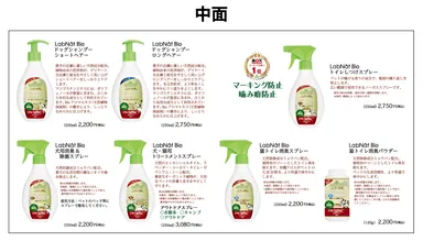 リーフレット中2