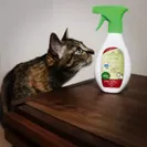 猫トイレ消臭スプレー