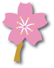 桜カイロプラクティック