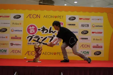 『芸-わん！グランプリ2012』予選の様子