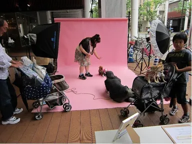 愛犬無料撮影会